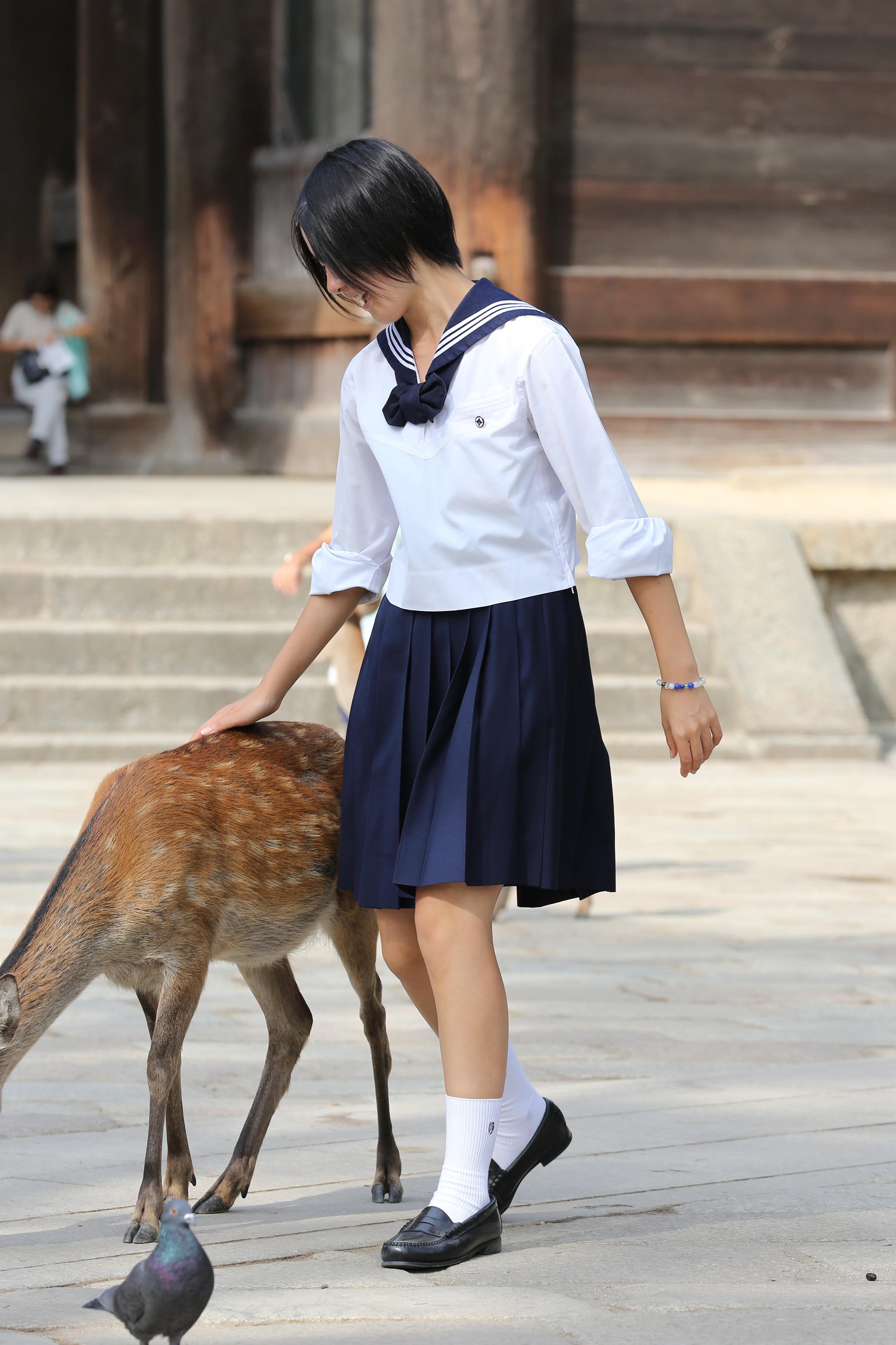 syu255 Voyage scolaire. Innocent Pureana k-chan Kansatsu ♬ 3 jouant avec un cerf