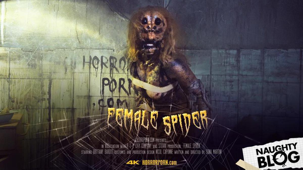 Pornô de terror - aranha feminina