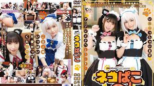 6000 Кбит / с FHD CSCT-007 Cat Pako Kotone Toa & Yui Nagase