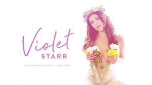 飞碟全明星队 - Violet Starr