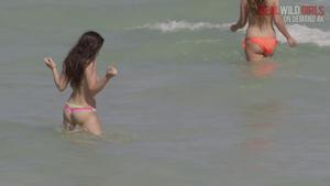 Nude Miami Beach Flashers