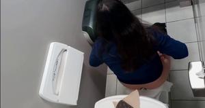 Public Toilet Overstall 2