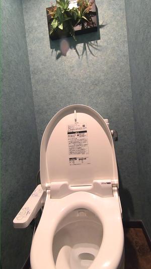 JK diam-diam melakukan masturbasi di toilet department store⑱