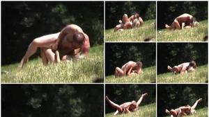 Couple having sex in the park