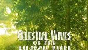 Celestial Wives of the Meadow Mari 2012