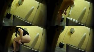 Public_Toilet_204